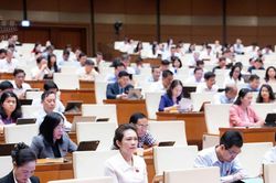 ĐBQH đề xuất cấm b&aacute;n thuốc l&aacute; cho người sinh từ năm 2010
