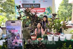'Chợ L&aacute;ch vươn m&igrave;nh': Khi b&agrave; con Vĩnh Long l&agrave;m chủ s&agrave;n thương mại số
