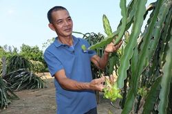 H&agrave; Nội th&uacute;c đẩy n&ocirc;ng nghiệp xanh từ c&aacute;c v&ugrave;ng sản xuất tập trung