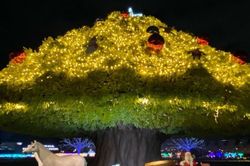 Lễ hội &aacute;nh s&aacute;ng Tokyo Mega Illumi trở lại, thắp s&aacute;ng m&ugrave;a đ&ocirc;ng Nhật Bản