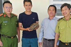 Người d&acirc;n tự nguyện giao nộp c&aacute; thể r&ugrave;a n&uacute;i v&agrave;ng qu&yacute; hiếm