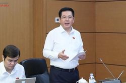 Ph&oacute; Chủ tịch Quốc hội Nguyễn Hồng Di&ecirc;n: X&oacute;a bỏ b&ugrave; ch&eacute;o gi&aacute; điện phải gắn với ch&iacute;nh s&aacute;ch hỗ trợ người d&acirc;n