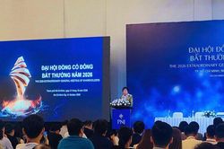 B&agrave; Cao Thị Ngọc Dung n&oacute;i về thời điểm kh&oacute; khăn nhất trong gần 40 năm của PNJ v&agrave; gửi lời xin lỗi cổ đ&ocirc;ng