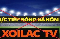 Truy tố 74 bị can trong vụ &aacute;n x&acirc;m phạm bản quyền 1.529 trận đấu thể thao