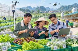 Gỡ n&uacute;t thắt quản trị n&acirc;ng cao hiệu quả sản xuất