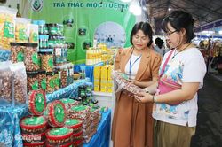 Mở rộng kết nối cung - cầu với thị trường Th&agrave;nh phố Hồ Ch&iacute; Minh
