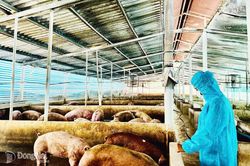 Ng&agrave;nh chăn nu&ocirc;i thiệt hại nặng
