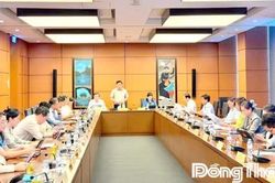 Đại biểu Quốc hội tỉnh Đồng Th&aacute;p thảo luận nhiều nội dung về lao động v&agrave; an sinh x&atilde; hội