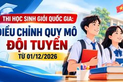 Thi học sinh giỏi quốc gia: Điều chỉnh quy m&ocirc; đội tuyển từ 01/12/2026