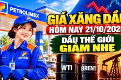 Gi&aacute; xăng dầu h&ocirc;m nay 21/10: Dầu thế giới giảm nhẹ trước kỳ điều h&agrave;nh 22/10