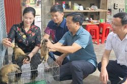 Đảng vi&ecirc;n đi trước, Suối Bu đổi thay