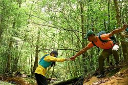 Bước ch&acirc;n người dẫn đường