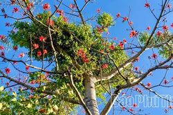 Từ &ldquo;Lộc trời&rdquo; đến sản phẩm OCOP