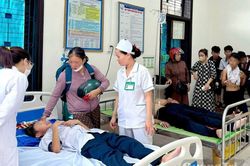 Bị ong đốt, h&agrave;ng chục học sinh phải nhập viện