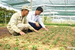 T&iacute;n dụng ch&iacute;nh s&aacute;ch đồng h&agrave;nh c&ugrave;ng đồng b&agrave;o d&acirc;n tộc thiểu số