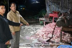 Triệt ph&aacute; đường d&acirc;y ti&ecirc;u thụ khoảng 400 tấn heo bệnh, thu lợi hơn 10 tỷ đồng