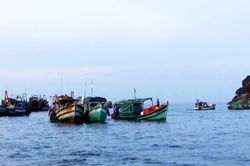 Thanh tra Ch&iacute;nh phủ chuyển Bộ C&ocirc;ng an điều tra hơn 5.100 vụ việc t&agrave;u c&aacute; mất kết nối ở C&agrave; Mau
