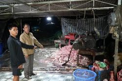 Đường d&acirc;y ti&ecirc;u thụ 400 tấn heo bệnh thu lợi bất ch&iacute;nh tr&ecirc;n 10 tỷ đồng