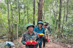 Đi t&igrave;m hoa lan, ph&aacute;t hiện 2 mộ liệt sĩ