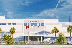Dược Hậu Giang (DHG) b&aacute;o l&atilde;i qu&yacute; 3 dưới 100 tỷ đồng, duy tr&igrave; ch&iacute;nh s&aacute;ch kh&ocirc;ng nợ vay