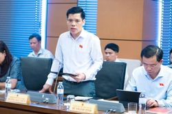 Đại biểu Quốc hội tỉnh g&oacute;p &yacute; ho&agrave;n thiện c&aacute;c dự &aacute;n luật về lĩnh vực y tế