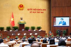 Quốc hội nghe Tờ trình và Báo cáo thẩm tra dự án Luật sửa đổi, bổ sung một số điều của Luật Bảo hiểm xã hội