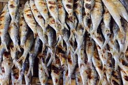 Đi chợ gặp 2 loại c&aacute; n&agrave;y, đừng vội xem l&agrave; m&oacute;n ăn 'nh&agrave; ngh&egrave;o': Gi&aacute; trị dinh dưỡng cao, tốt cho xương khớp m&agrave; nhiều người bỏ qua