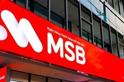MSB dành 10.000 tỷ đồng cho vay với lãi suất từ 7,5%/năm