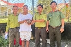 Đồng Nai: Người d&acirc;n giao nộp c&aacute; thể t&ecirc; t&ecirc; Java qu&yacute; hiếm cho c&ocirc;ng an