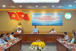 C&agrave; Mau c&ocirc;ng bố chuỗi sự kiện văn h&oacute;a, kinh tế quy m&ocirc; lớn trong th&aacute;ng 11