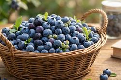 6 loại tr&aacute;i c&acirc;y gi&agrave;u hợp chất chống oxy h&oacute;a gi&uacute;p bảo vệ tế b&agrave;o