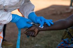 Ch&acirc;u Phi ph&aacute;t cảnh b&aacute;o khẩn sau khi dịch Ebola 'g&otilde; cửa' quốc gia thứ tư