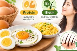 5 loại thực phẩm hỗ trợ giảm rụng t&oacute;c theo m&ugrave;a