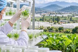 Khoa học c&ocirc;ng nghệ: Ch&igrave;a kh&oacute;a n&acirc;ng gi&aacute; trị dược liệu qu&yacute;
