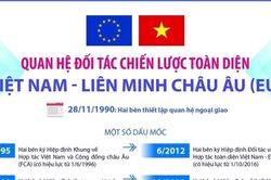 Tầm cao mới trong quan hệ Việt Nam - Li&ecirc;n minh ch&acirc;u &Acirc;u