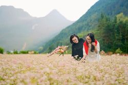 Phố Bảng - điểm hẹn m&ugrave;a hoa Tam gi&aacute;c mạch