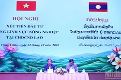 Việt Nam-L&agrave;o tăng cường hợp t&aacute;c ph&aacute;t triển n&ocirc;ng nghiệp