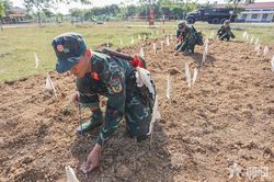 Đề xuất chế độ ưu đãi có tính vượt trội đối với hạ sĩ quan, chiến sĩ tại ngũ