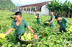 Thực hiện tốt phương châm 'vững đời sống bộ đội'