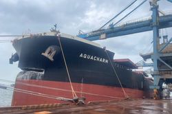 Bắt giữ t&agrave;u Aquacharm sau vụ va chạm cầu cảng ở Dung Quất