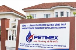 Thanh tra Ch&iacute;nh phủ kiến nghị xử l&yacute; h&agrave;ng loạt vi phạm tại Petimex