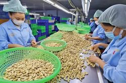 Nhiều thị trường thay đổi quy định nhập khẩu nông sản, thực phẩm