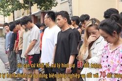 Triệt ph&aacute; đường d&acirc;y ma t&uacute;y li&ecirc;n tỉnh, bắt giữ 151 đối tượng