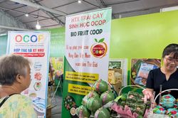 Ph&aacute;t triển sản phẩm OCOP - B&agrave;i cuối: H&uacute;t kh&aacute;ch bằng sản phẩm đặc trưng