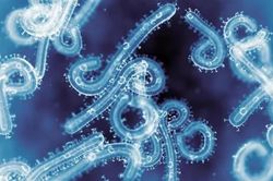 Ph&aacute;p ghi nhận ca nhiễm virus hiếm gặp ở người