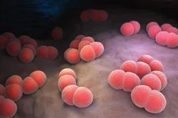 Phát hiện sớm, điều trị kịp thời để hạn chế tử vong do viêm não