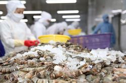 Thực phẩm Sao Ta vượt mục ti&ecirc;u lợi nhuận năm 2026 sau 9 th&aacute;ng