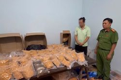 TP.HCM: Triệt ph&aacute; đường d&acirc;y mua b&aacute;n cần sa li&ecirc;n tỉnh, bắt giữ 151 đối tượng