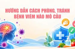 Hướng dẫn c&aacute;ch ph&ograve;ng, tr&aacute;nh bệnh vi&ecirc;m n&atilde;o m&ocirc; cầu