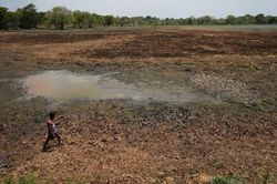 Cảnh b&aacute;o khả năng El Nino mạnh vượt mọi kỷ lục